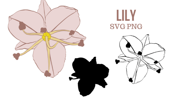 Lily SVG PNG: Elegant Graphics & Illustrations